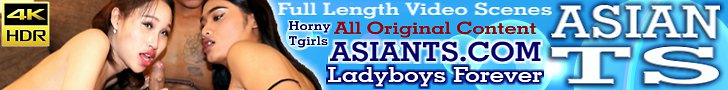 Huge Collection of Sexy Asian Transsexuals!!