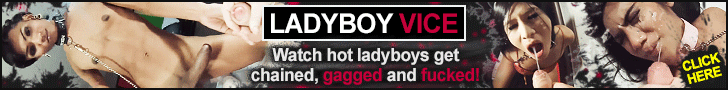 How would you like a hung Ladyboy Girlfriend!