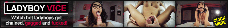 How would you like a hung Ladyboy Girlfriend!